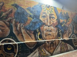 I indianernes land